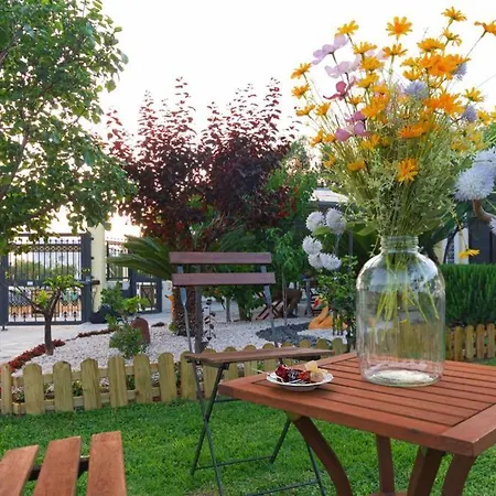 Casa Di Flora In 別荘 *